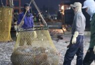 Quận Đồ Sơn: Tập trung cao cho công tác thu ngân sách