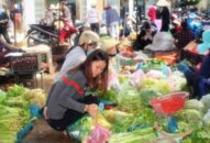 Thực phẩm tươi sống tăng nhẹ sau bão