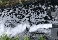 Điều tra vụ xả trộm chất thải vào kênh Hoà Bình ở Hải Phòng