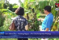 Điều tra vụ xả chất thải tại Hải Phòng