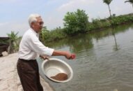 Hội CCB quận Dương Kinh: Hiệu quả từ phong trào thi đua “Cựu chiến binh gương mẫu”