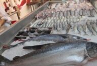 Thủy sản giảm giá