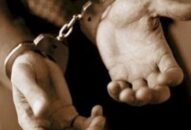 Lần theo dấu vết “đôi giày vàng”