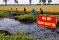 Báo động tình trạng chất thải nguy hại “vô tư” xả ra môi trường