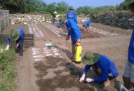 Giá trị lớn từ tình nguyện hè