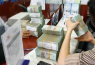 Tăng cường thanh kiểm tra các DN trốn đóng BHXH