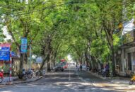 Đầu tư nâng cấp, mở rộng đường Bến Bính