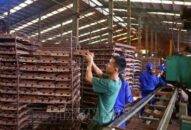 Đề nghị thanh tra việc thực hiện pháp luật bảo vệ môi trường tại công ty TNHH gốm xây dựng Đá Bạc