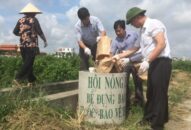 Chuyển giao KHKT chăm sóc cây trồng, vật nuôi cho 4.320 lượt cán bộ, hội viên