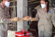 Chi cục Chăn nuôi & Thú y: Tiêm 83.334 liều vắc xin phòng bệnh dại trên đàn chó mèo nuôi