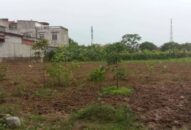 Thị trấn Tiên Lãng (Tiên Lãng):  Xử phạt 4 hộ dân tự ý chuyển san lấp đất nông nghiệp khi chưa được phép