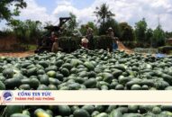 Chuyện thời cuộc: Không thể chỉ biết than