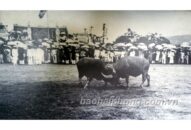 Lễ hội văn hóa độc đáo của miền biển Hải Phòng