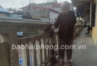 4 khu chung cư thuộc tổ 18 phường Cầu Tre xuống cấp: Cần kiểm tra, khắc phục tạm thời