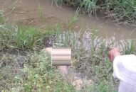 Hải Phòng: Phát hiện thi thể người đàn ông nằm úp xuống mặt ruộng