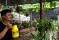 8X Lạng Sơn mê phong lan rừng: Kiếm trăm triệu từ 1 câu “nhỡ mồm”