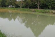 Đang điều tra xác minh vụ chết người tại xã Đoàn Lập (Tiên Lãng)