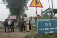 158 xã, phường qua 30 ngày không phát sinh dịch tả lợn Châu Phi