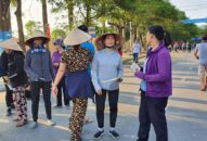 Chọi trâu Đồ Sơn 2019: Miễn phí vé vào sân, “cò” vẫn vô tư phe vé mời