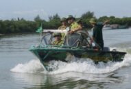 Xử phạt 4 trường hợp vi phạm Luật Lâm nghiệp