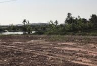 Thu hồi hơn 230 ha đất vi phạm theo Nghị quyết số 06