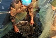 Hướng đi mới cho ngành nuôi trồng thủy sản