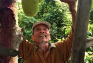 Nhớ người Anh hùng phi công… “bảy phát, bảy trúng”