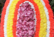 Tin buồn: Đồng chí Đại tá Vũ Xuân Linh từ trần