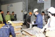 Tăng cường công tác chống buôn lậu, gian lận thương mại  (Kỳ 2): Cần quyết liệt và đồng bộ hơn nữa.