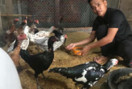 Anh em sinh đôi cùng thành… tỉ phú