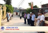 Kế hoạch hành động đáp ứng khẩn cấp phòng, chống dịch bệnh sốt xuất huyết Dengue