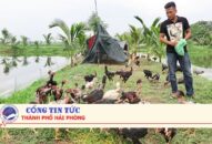 Thanh niên Hải Phòng vươn lên làm giàu