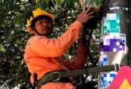 Điện và Chợ tạo nên sức sống nông thôn mới