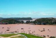 Quận Đồ Sơn: 4/6 cơ sở chưa đủ điều kiện sản xuất, kinh doanh giống thủy sản