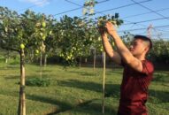 Quận đoàn Đồ Sơn: Đồng hành cùng thanh niên khởi nghiệp