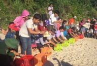 Bảo vệ và phát triển bền vững các loài rùa biển nguy cấp của Việt Nam