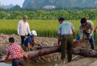 Chuyên gia nói gì về 2 cọc gỗ nghi là cọc Bạch Đằng ở Hải Phòng?