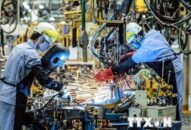 ‘Việt Nam trở thành điểm sáng thu hút đầu tư mới Đông Nam Á’