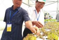 Chùm ảnh: Đoàn nông dân xuất sắc thăm “đại trang trại” rau nghìn tỷ