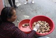 Hải Phòng: “Chủ chuột” thắng đậm nhờ bán thịt chuột ví ngon như thịt gà