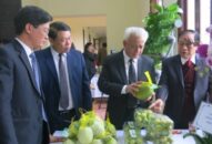 10 năm thực hiện MTQG xây dựng nông thôn mới: “Sức bật” làng quê Hải Phòng