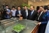 Thủ tướng dự hội nghị tổng kết 10 năm nông thôn mới ở Hải Phòng