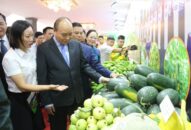 Hải Phòng “về đích” nông thôn mới trong năm 2019