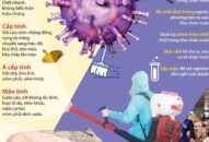 10 tỉnh, thành phố có trên 80% số xã bị dịch tả lợn Châu Phi đã qua 30