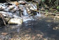 Người đàn bà bí ẩn đứng sau vụ đổ chất thải đầu độc nguồn nước sông Đà