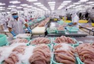 Xuất khẩu thủy sản nỗ lực vượt khó