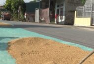 Huyện Tiên Lãng sẽ xử lý các trường hợp phơi thóc, rơm rạ, nông sản trên đường giao thông