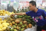 Thương mại nội địa – chủ động cho thị trường cuối năm (Kỳ 2): Chủ động hướng về cuối năm