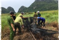 Tịch thu 9 lóng gỗ lim xanh