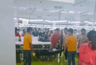 Hải Phòng: Không có việc công nhân Cty Maple bị ngất do thiếu cơm trưa